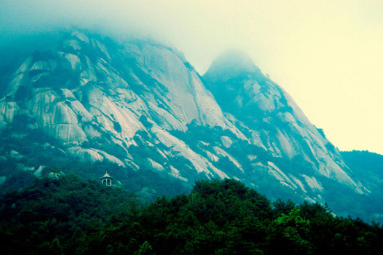 羰֮һ|20050625000001