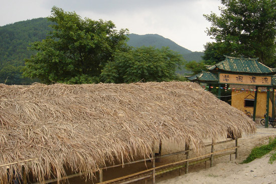 ǱƯ|20050625000001