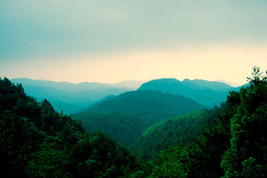 羰֮|20050625000001
